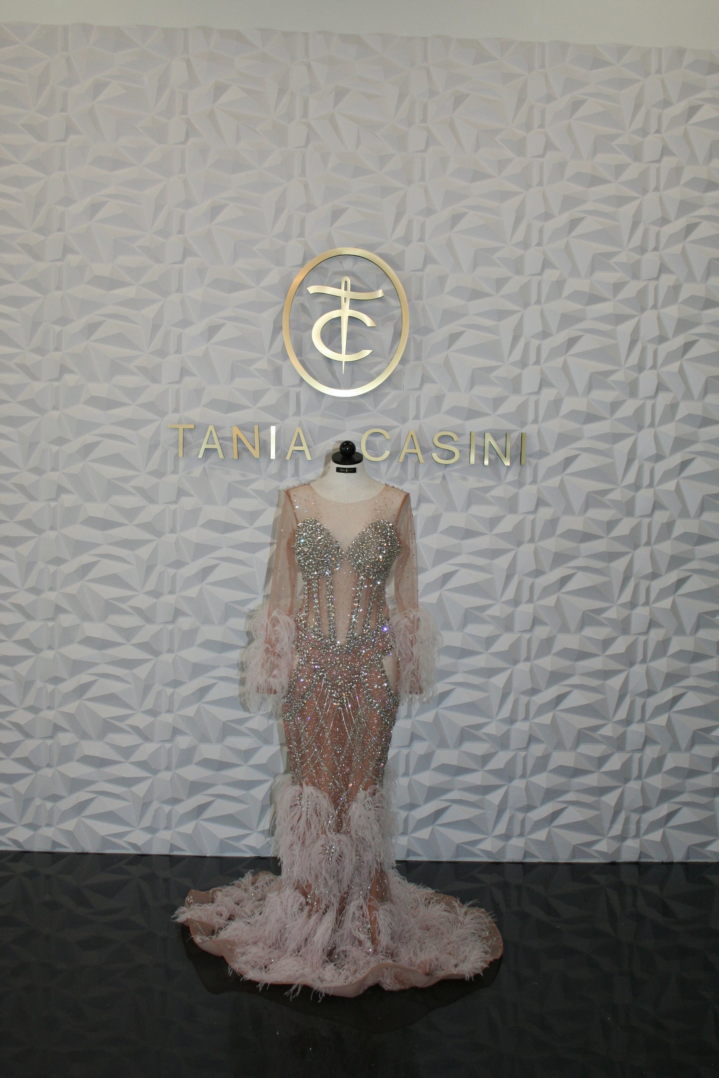 Blush feather crystal dress