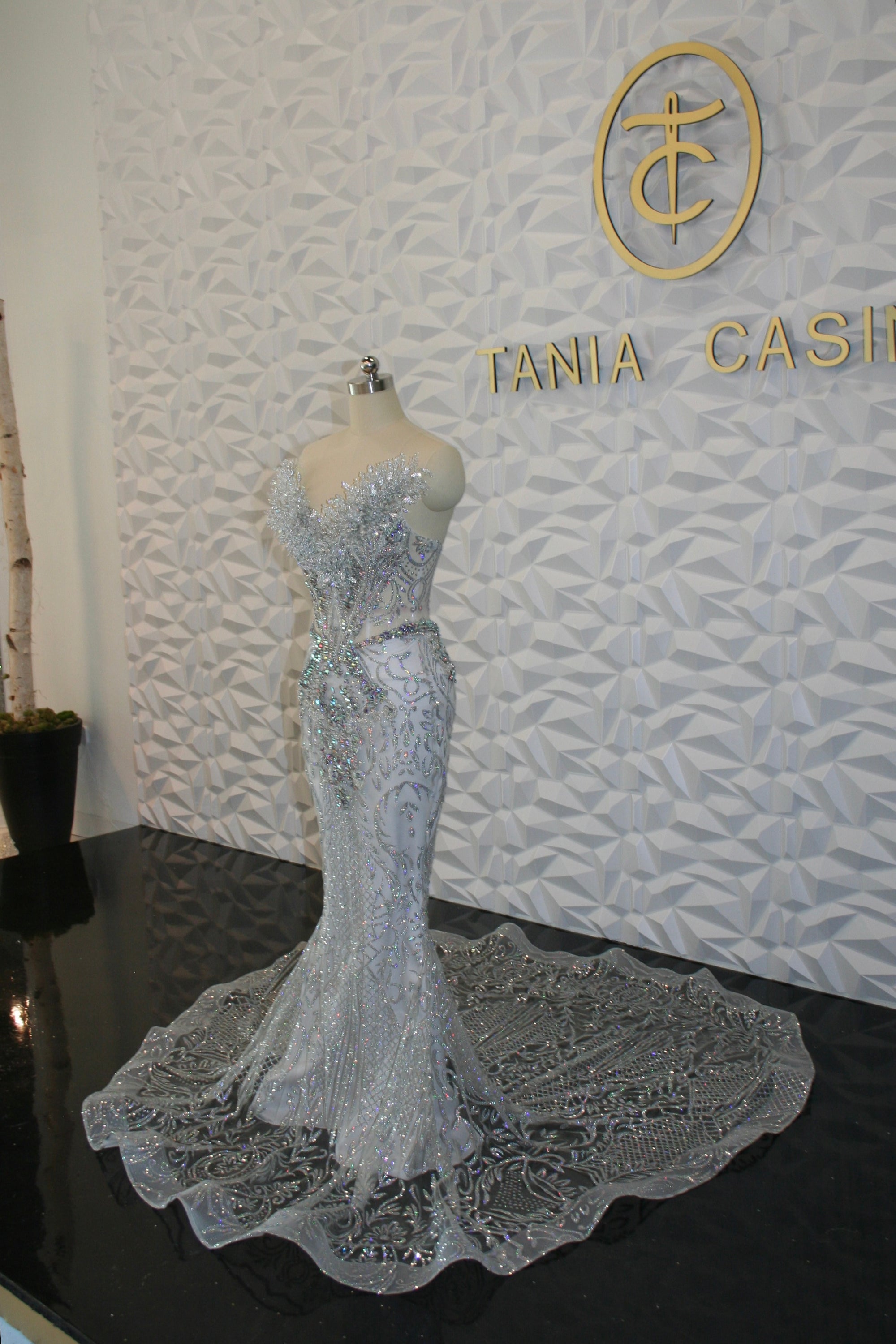 Silver Iridescent Crystalina Dress